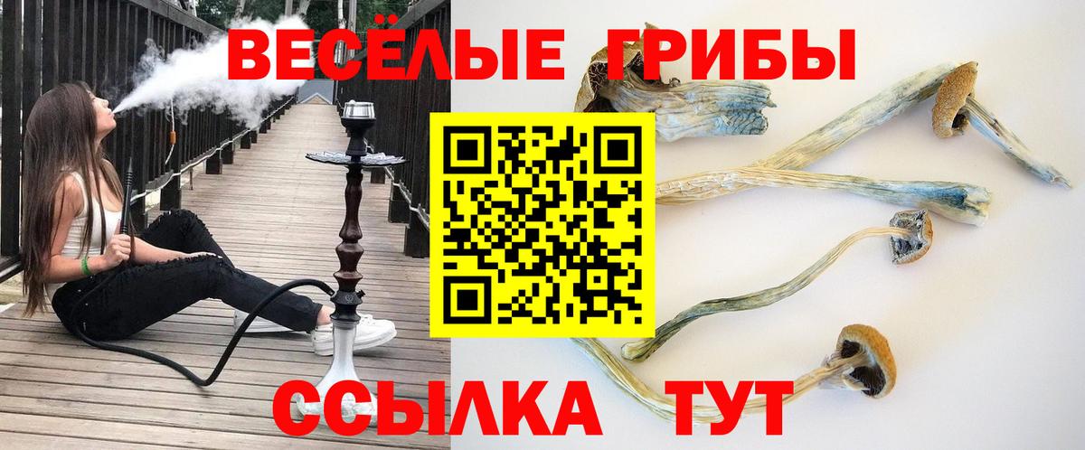 Псилоцибиновые грибы мухоморы  Псилоцибиновые грибы Psilocybe  Обнинск  Вход с VPN 